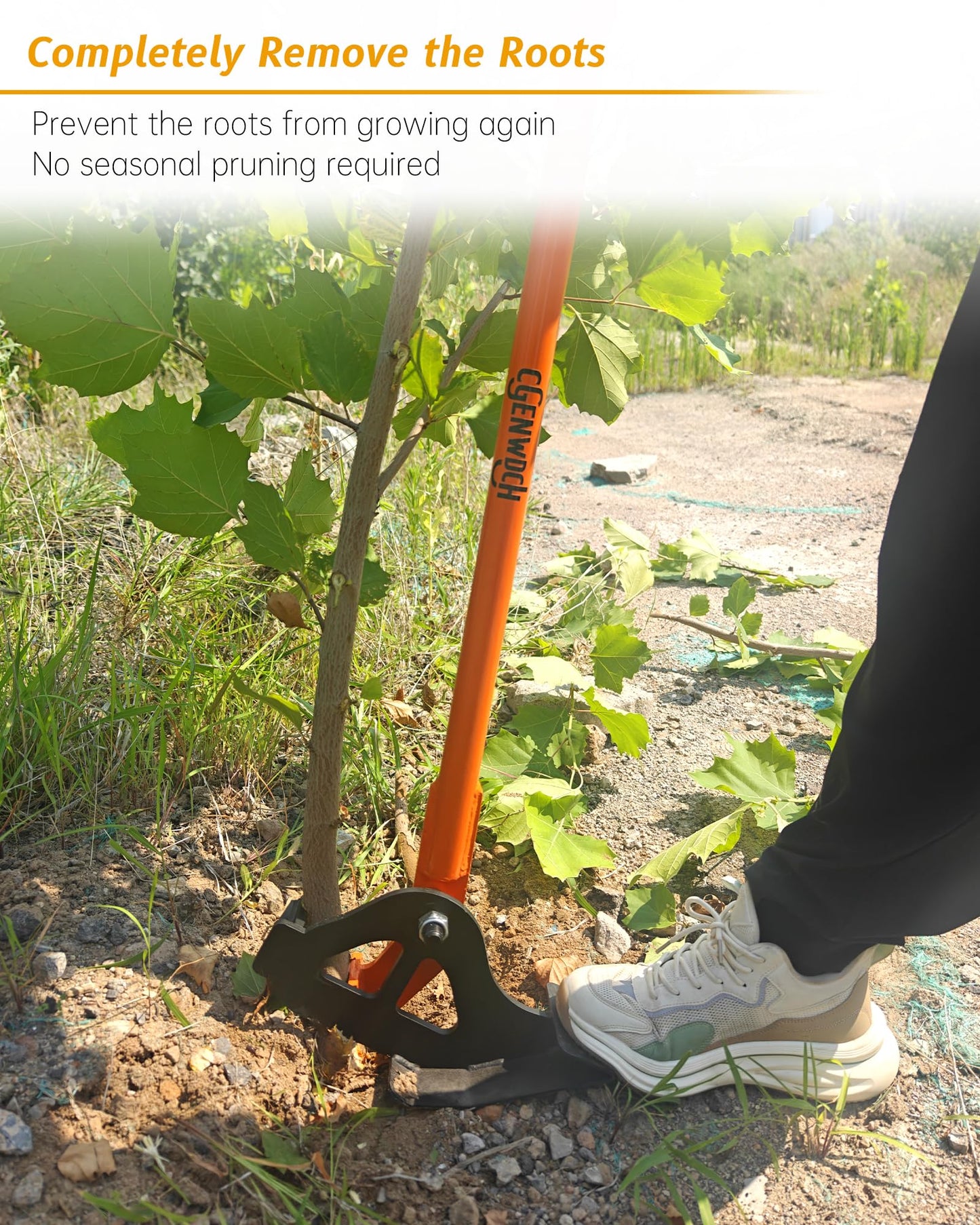 Medium Size Sapling Puller, Heavy-Duty High-Leverage Tree Puller Tool, Fully Uproots Woody Stems ¼ inch - 1 ⅜ inches, Suitable for Trees, Shrubs, Vines and Thorns with Large Root Systems